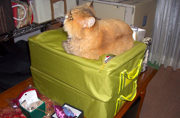 日々雑感 - DoromPATIO