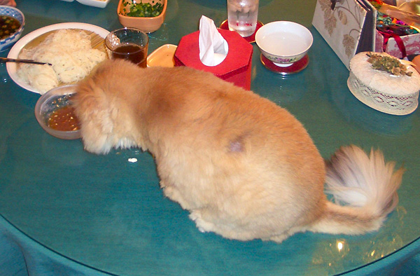 日々雑感 - DoromPATIO