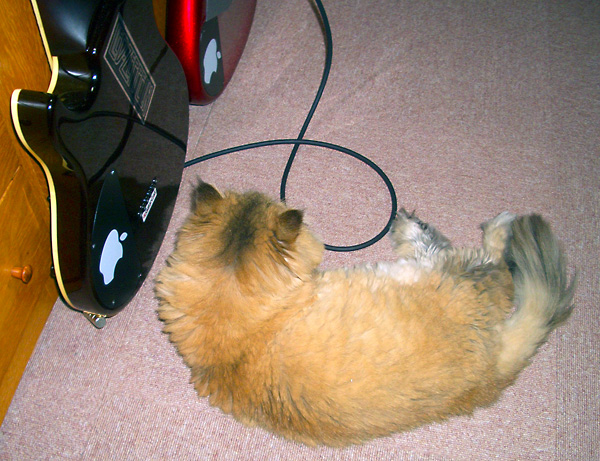 日々雑感 - DoromPATIO