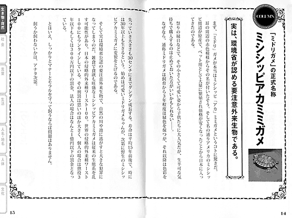 日々雑感 - DoromPATIO