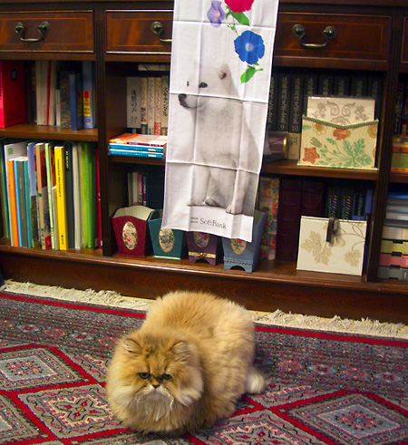 日々雑感 - DoromPATIO