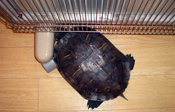 日々雑感 - DoromPATIO