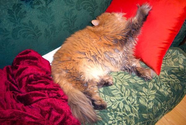 日々雑感 - DoromPATIO