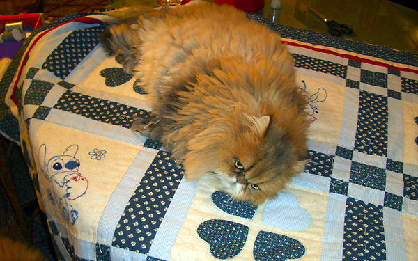 日々雑感 - DoromPATIO