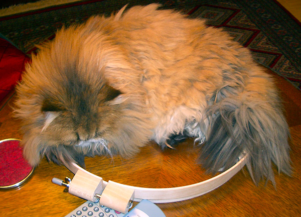 日々雑感 - DoromPATIO