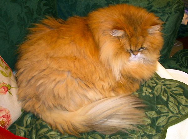 日々雑感 - DoromPATIO