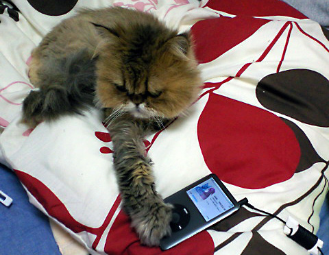 日々雑感 - DoromPATIO