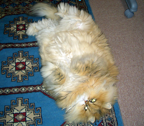 日々雑感 - DoromPATIO