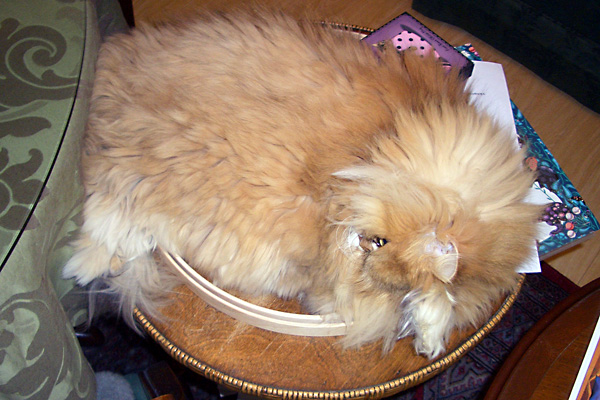 日々雑感 - DoromPATIO