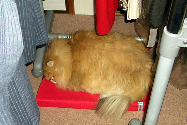 日々雑感 - DoromPATIO