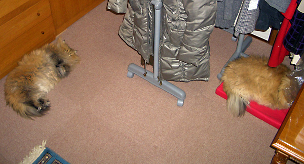 日々雑感 - DoromPATIO