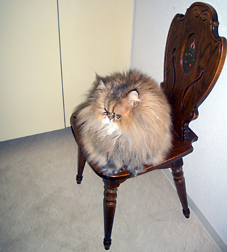 日々雑感 - DoromPATIO