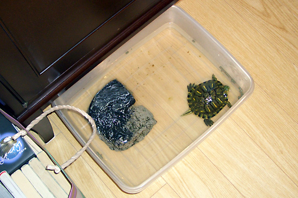 日々雑感 - DoromPATIO