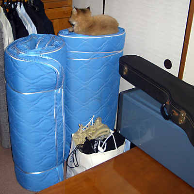 日々雑感 - DoromPATIO