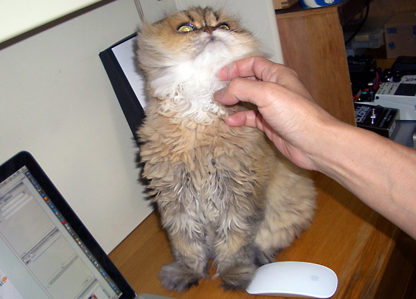 日々雑感 - DoromPATIO