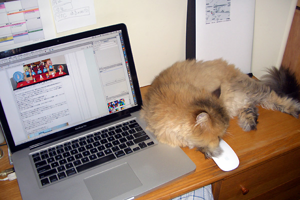 日々雑感 - DoromPATIO