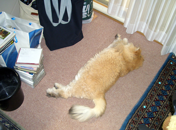 日々雑感 - DoromPATIO