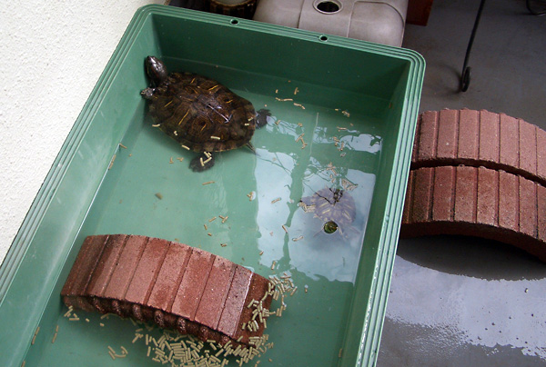 日々雑感 - DoromPATIO