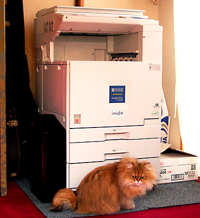 毒林檎談義 - Macintosh - DoromPATIO