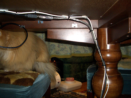 毒林檎談義 - Macintosh - DoromPATIO