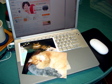 毒林檎談義 - Macintosh - DoromPATIO