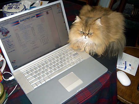 毒林檎談義 - Macintosh - DoromPATIO