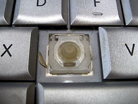 毒林檎談義 - Macintosh - DoromPATIO