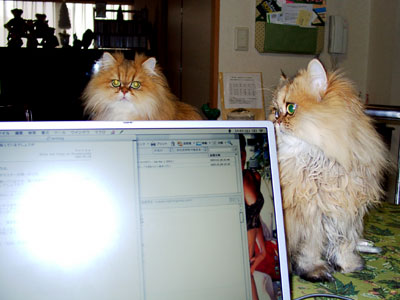 PowerBook G4, Macintosh