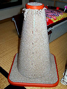 猫, チンチラ・シルバー, May the Cat