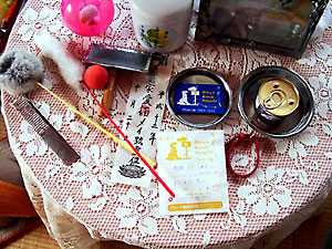 猫, チンチラ・シルバー, May the Cat