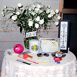 猫, チンチラ・シルバー, May the Cat